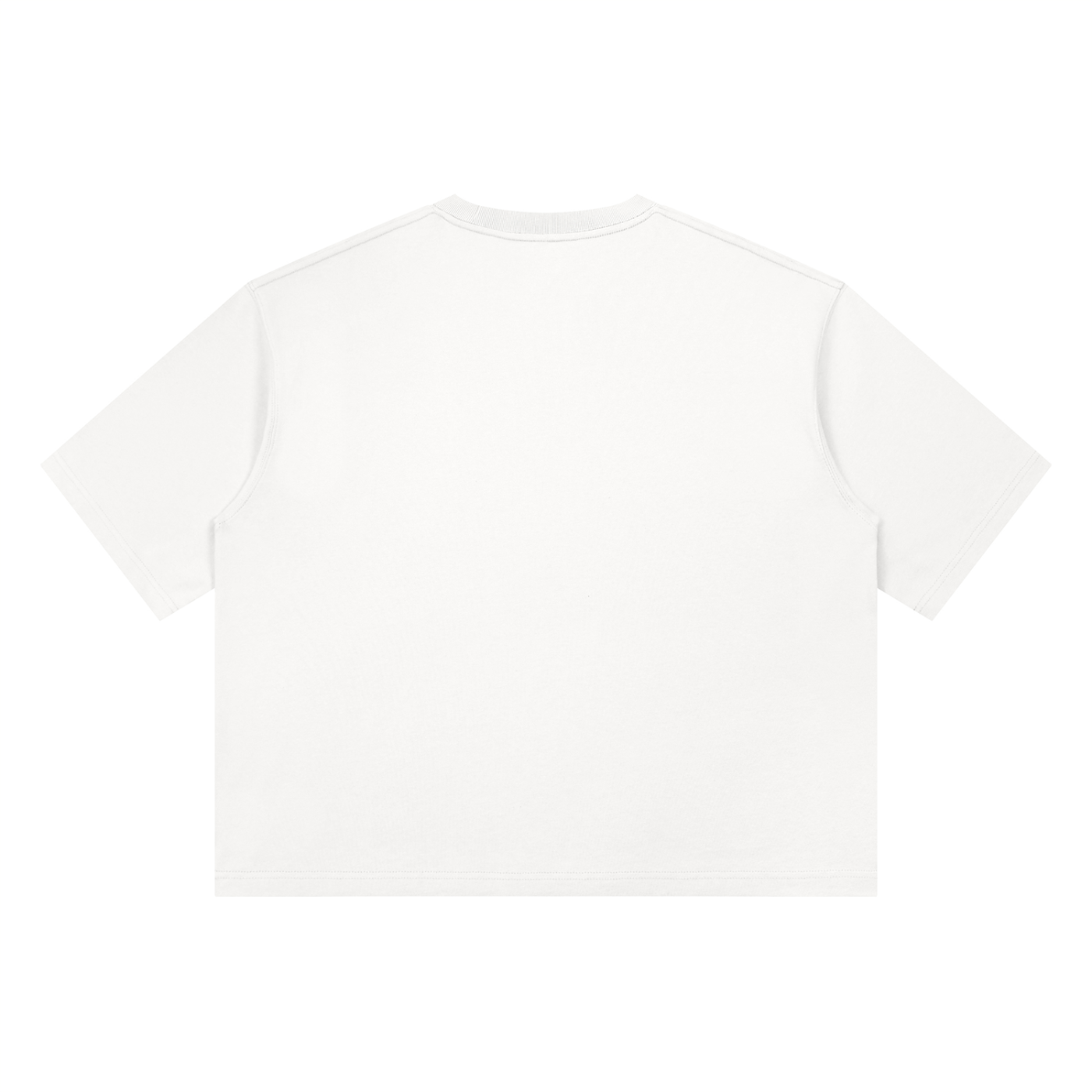 REVAMP Red & Maroon Heavyweight Boxy T-Shirt